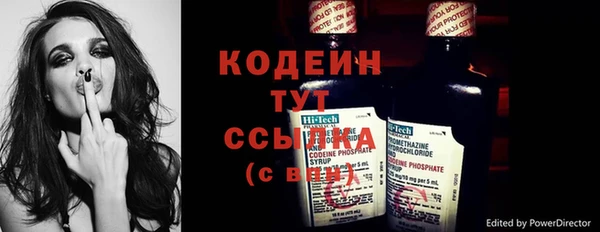 apvp Алзамай