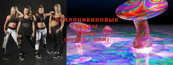 apvp Алзамай